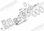 O-ring tbv Vanos S62