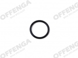 O-ring tbv olievoorziening S62