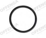 O-ring tbv AGR ventiel 24x2