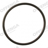 O-ring tbv vanosklep groot