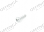 Torx-bout M6x30,5